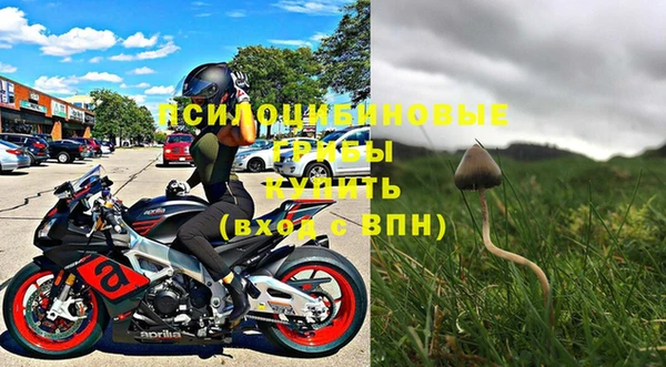 таблы Богданович