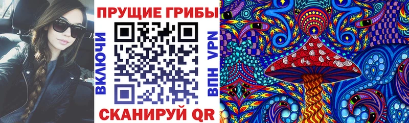 сайты даркнета телеграм  Микунь  Псилоцибиновые грибы Psilocybe 